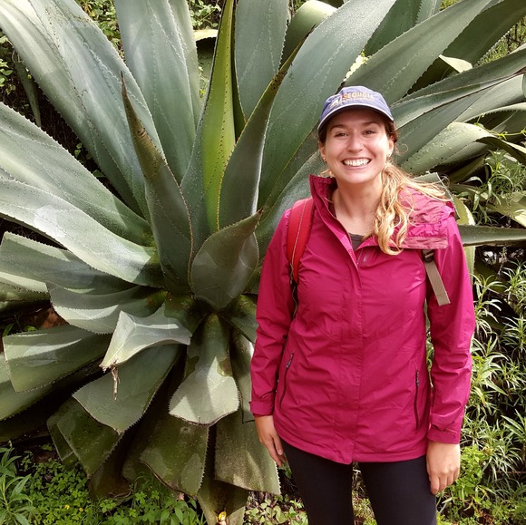 Meet your Posher, Arden - Picture 1 of 1